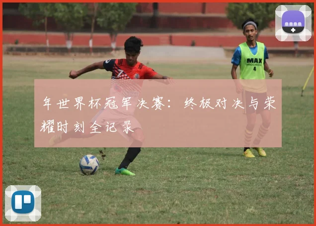 年世界杯冠军决赛：终极对决与荣耀时刻全记录