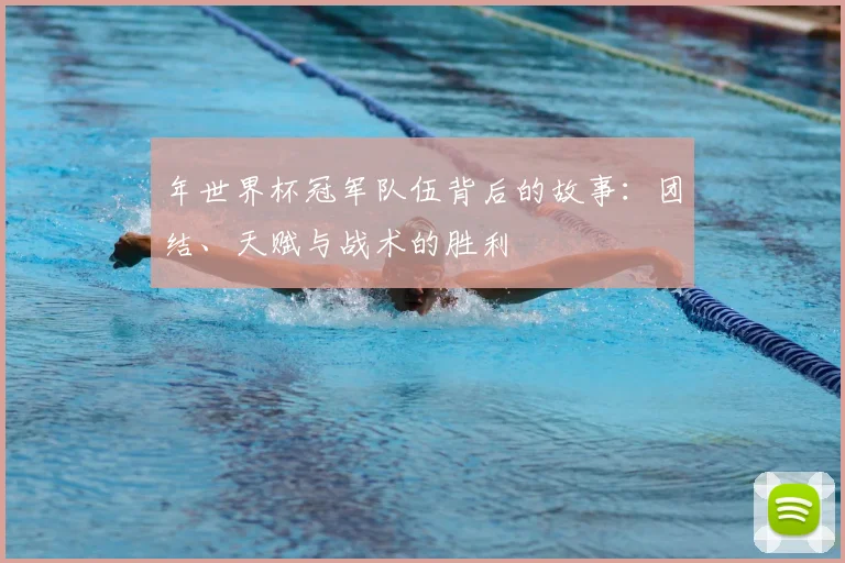 年世界杯冠军队伍背后的故事：团结、天赋与战术的胜利