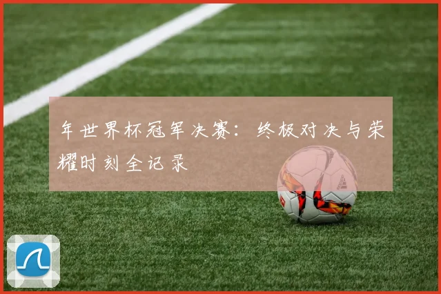 年世界杯冠军决赛：终极对决与荣耀时刻全记录