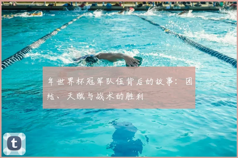 年世界杯冠军队伍背后的故事：团结、天赋与战术的胜利